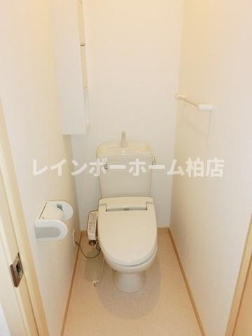 【仲介手数料：50％OFF】対象物件！のトイレ|清潔感のあるトイレです