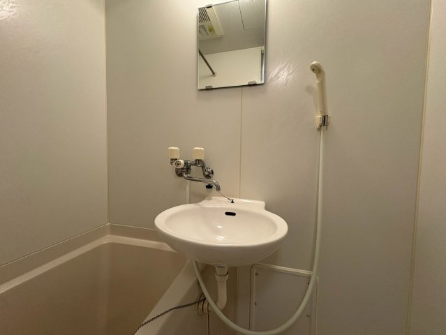 レオネクストフラワーヒルⅢの洗面所