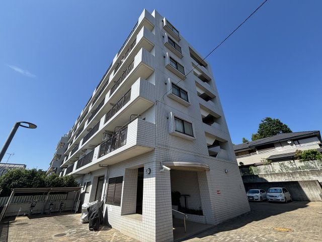アルス北柏