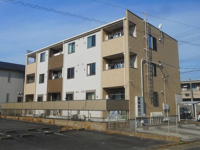 プリムローズ　Ｍ