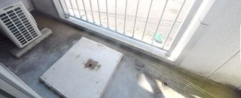 ホワイトハウスのバルコニー