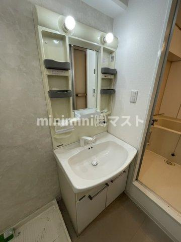 リッチライフダイコクの洗面所|別号室参考写真