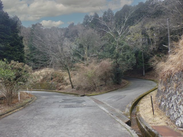 エンゼルフォレスト伊豆スカイライン⑤の前面道路含む現地写真