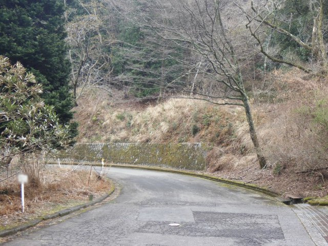 エンゼルフォレスト伊豆スカイライン⑤の前面道路含む現地写真