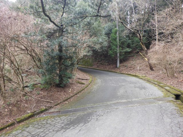 エンゼルフォレスト伊豆スカイライン⑤の前面道路含む現地写真