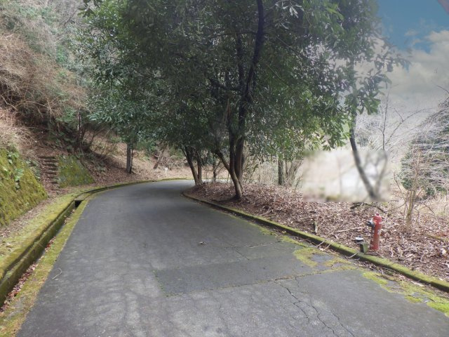 エンゼルフォレスト伊豆スカイライン⑤の前面道路含む現地写真