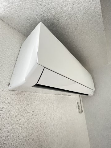 参考写真