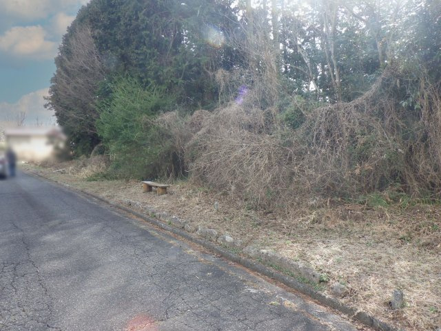 中伊豆スカイランド②の前面道路含む現地写真
