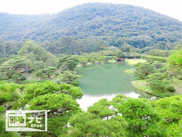 コリドール中央|公園