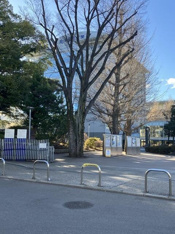 私立神奈川大学まで1164m