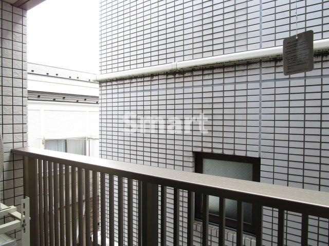 【展望】 | Pino