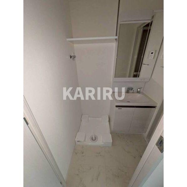 IW RESIDENCE大阪CREST TAPPの洗面所