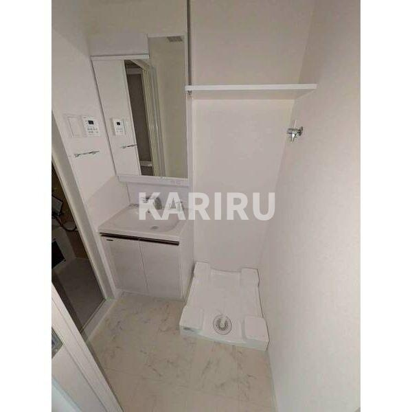 IW RESIDENCE大阪CREST TAPPの洗面所
