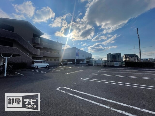 プリムローズ．Ｋのその他|その他