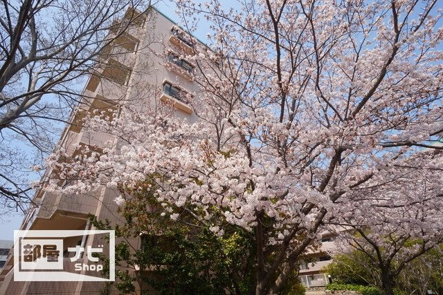 ストーンレイク子の浜Ｃ棟の外観|建物外観