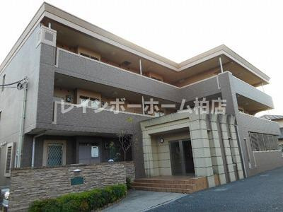 【仲介手数料：50％OFF】対象物件！の外観|外観もきれいです