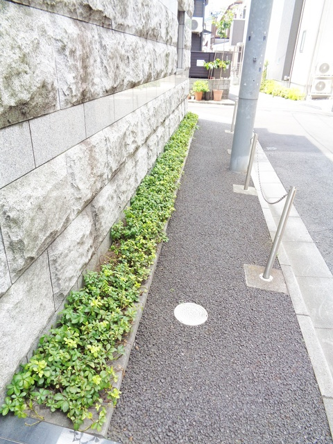 アヴァンツァーレ巣鴨のその他|植栽です