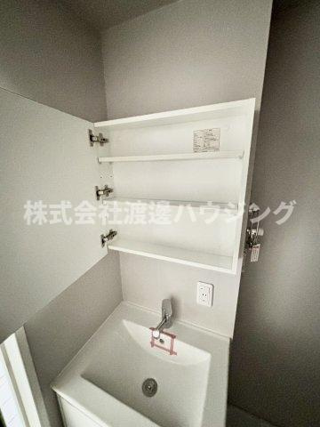 メゾンドペーシェ鴻池の洗面所