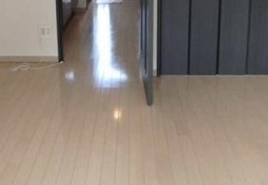 サンテミリオン錦糸町の洋室