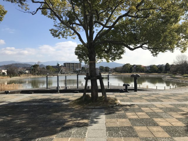 Starry諸岡　三筑小学校区の周辺|Starry諸岡