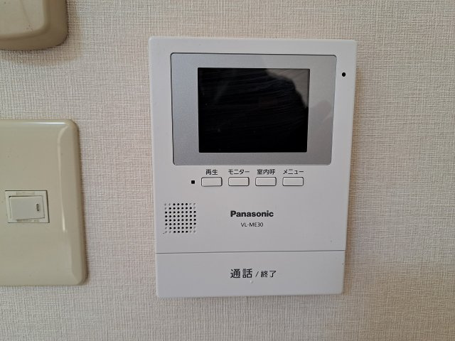 レモングラスのセキュリティ