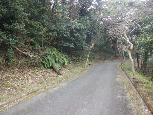 リゾートパーク伊豆あたがわ③の前面道路含む現地写真