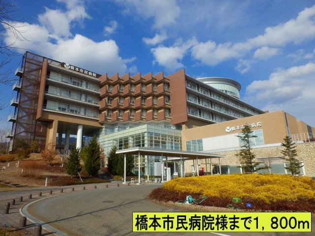 【周辺】 | メゾン　コリーヌⅢ | 橋本市民病院様まで1800m