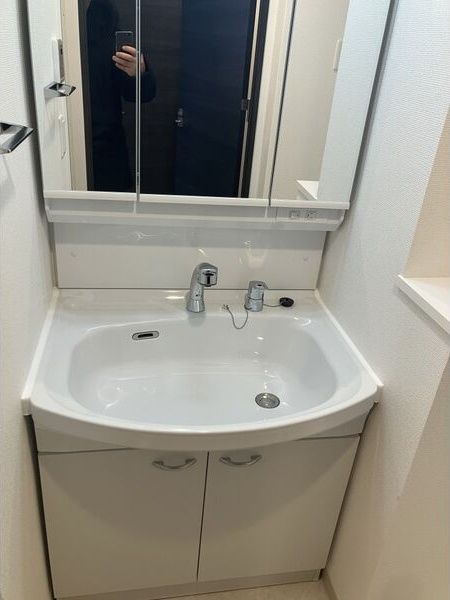 エステムコート名古屋上前津の洗面所