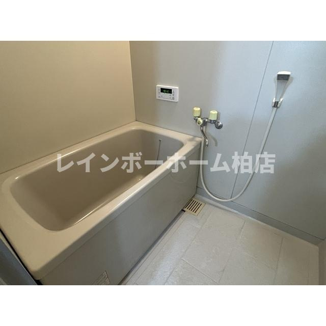 特典：仲介手数料が無料です!!の浴室|コンパクトで使いやすいお風呂です