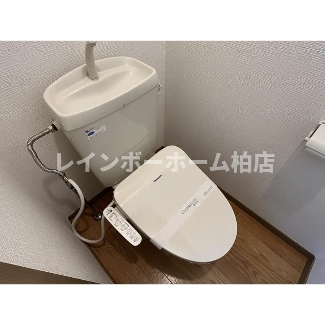 特典：仲介手数料が無料です!!のトイレ|落ち着いたトイレです