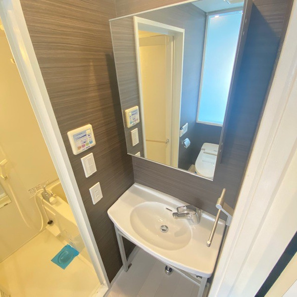 Premium Residence Kawasakiの独立洗面台