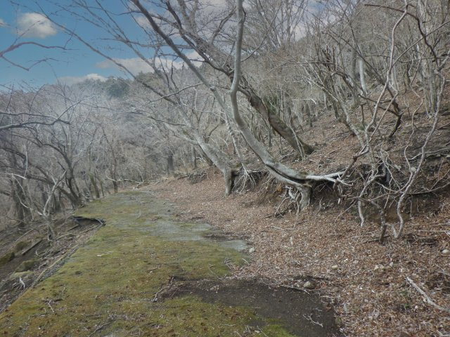 天城ハイランド②の前面道路含む現地写真