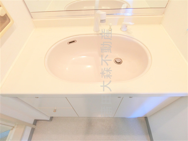 アイリス壱番館の洗面所