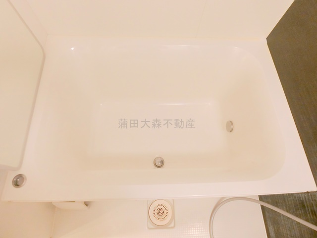 ブランシエスタ糀谷の浴室