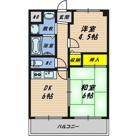 VIVA小山の画像