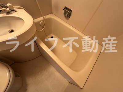 グリーンハウスの浴室