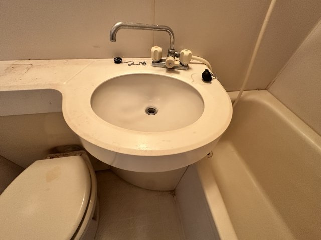 グリーンハウスの洗面所