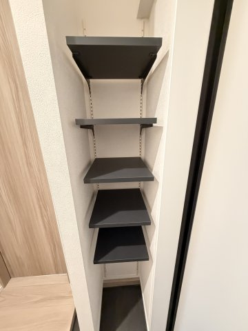 ＭＥＬＬＡＳ新秋津Ⅱの玄関