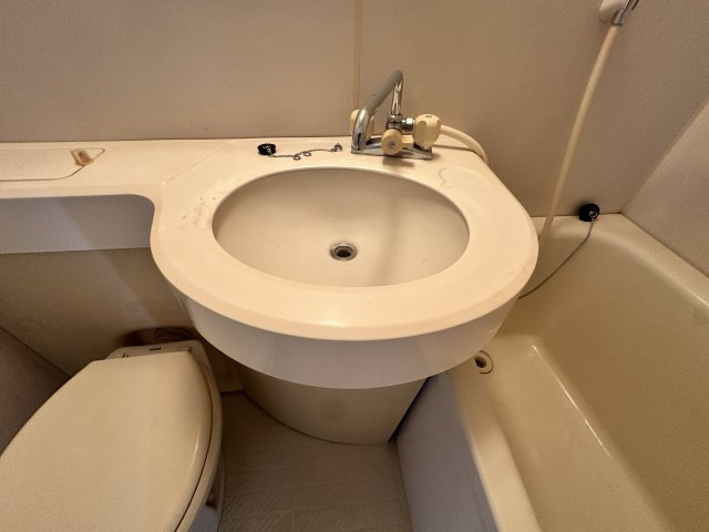 グリーンハウスの洗面所