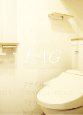 【トイレ】 | ルーブル東矢口 | トイレです。