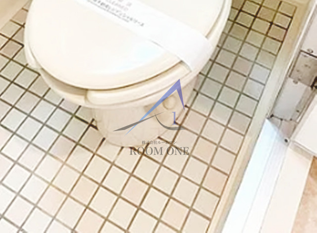 パーク・ノヴァ巣鴨のトイレ|トイレです。