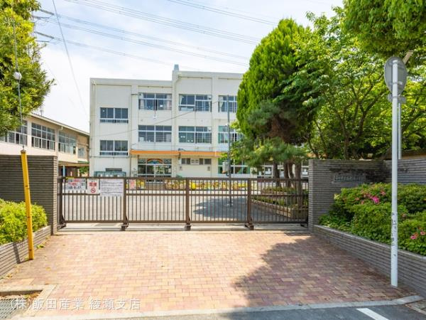 市川市日之出７番２４のその他|市川市立南新浜小学校まで990m