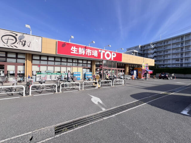 ブルーミングガーデン　柏市酒井根３丁目２棟／１期２号棟の周辺|マミーマート生鮮市場…まで800m
