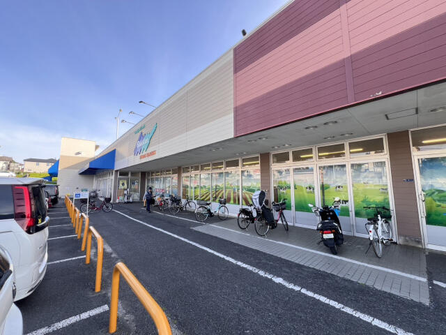 ブルーミングガーデン　柏市酒井根３丁目２棟／１期２号棟の周辺|FOODSMARKETSelecti…まで640m