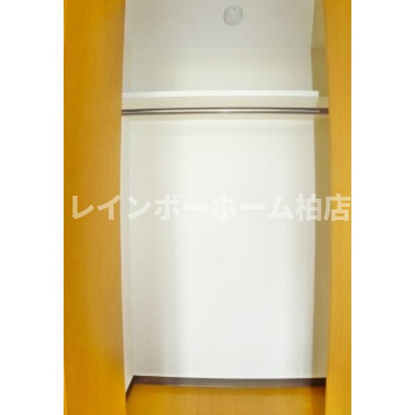 仲介手数料50％半額キャンペーン物件の収納|収納豊富です