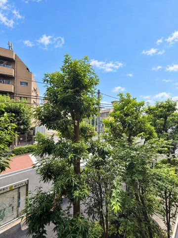 グリーンパーク新宿の杜の展望