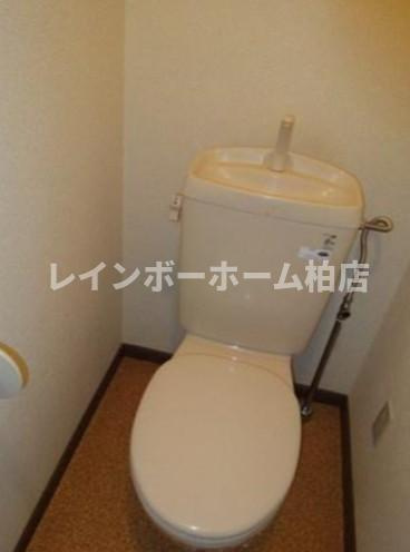 特典：仲介手数料が無料です!!のトイレ|トイレもきれいです