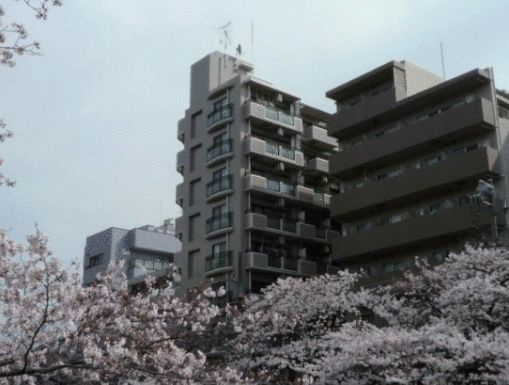 ドルチェ目白台