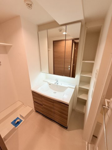B City高田馬場alivieの独立洗面台