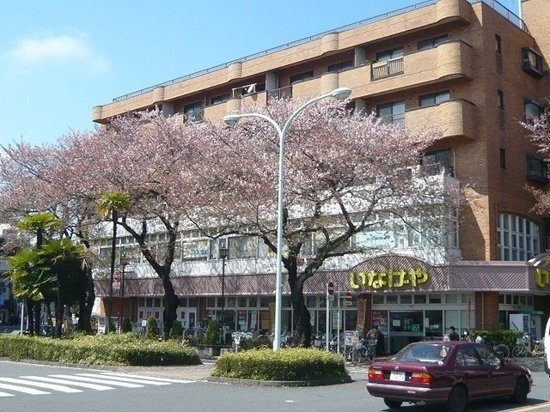 国立市富士見台４丁目の賃貸マンションの外観